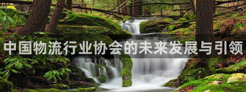 28圈p扣除：中国物流行业协会的未来发展与引领