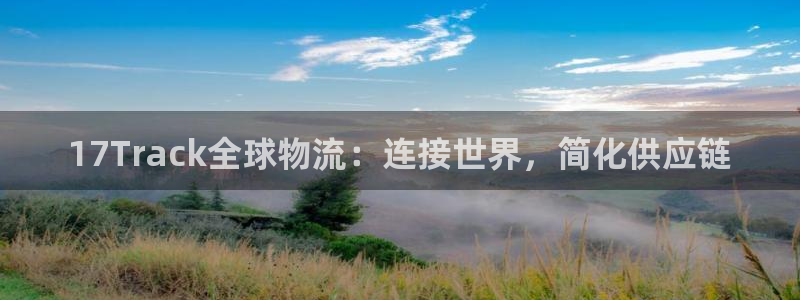 28圈能不能退：17Track全球物