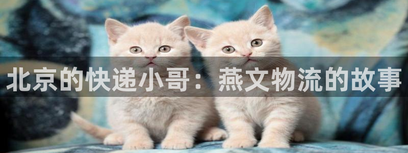 28圈黑钱