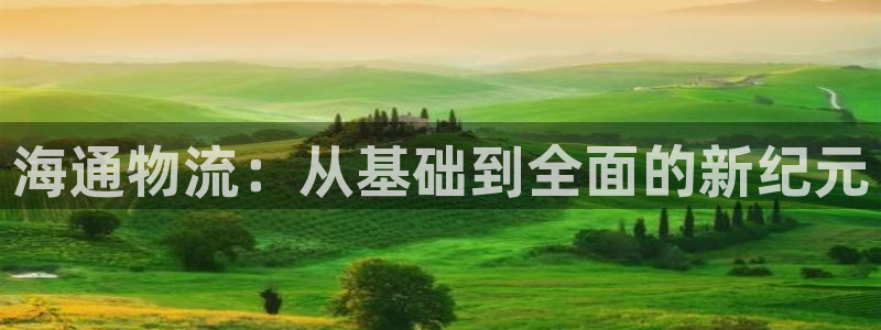 28圈哪个最赚钱：海通物流：从基础到