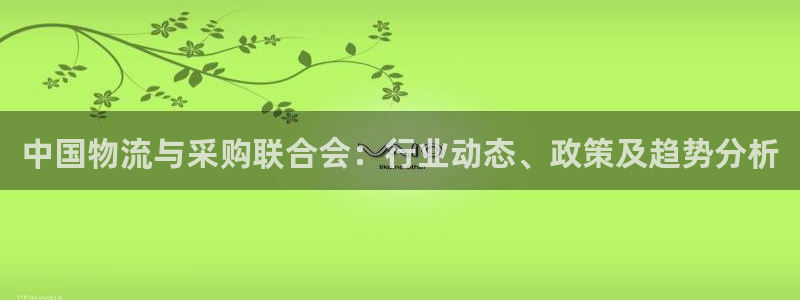 28圈在线预测