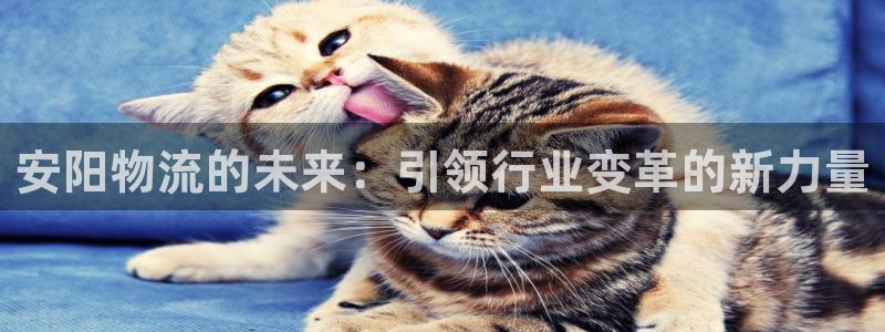 28圈.ccmpc正版：安阳物流的未