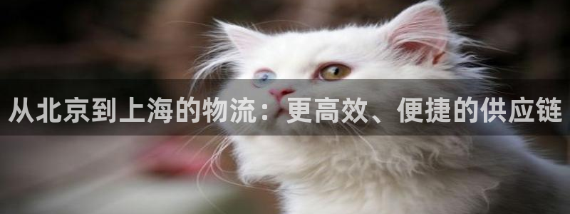 28圈如何退款：从北京到上海的物流：