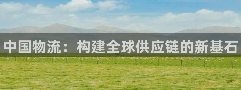 28圈反水怎么算：中国物流：构建全球