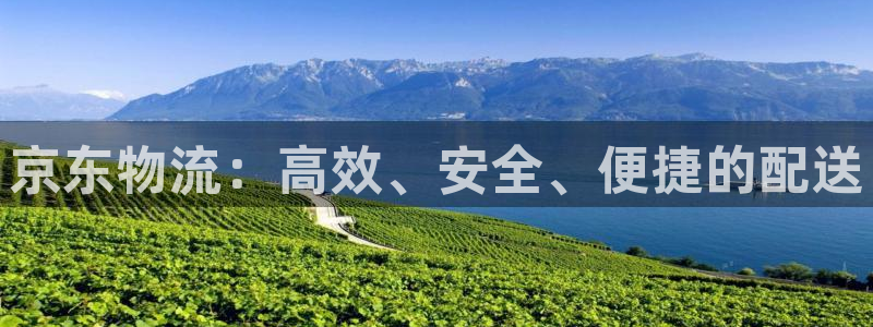 28圈里的财神：京东物流：高效、安全、便捷的配送