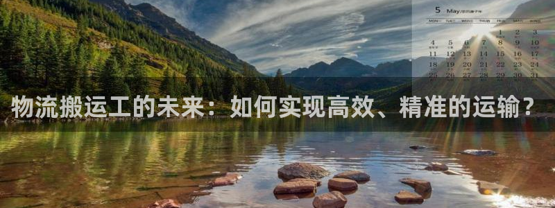 28圈官方官网：物流搬运工的未来：如