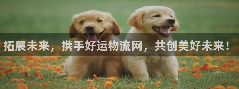 28圈平台注册：拓展未来，携手好运物
