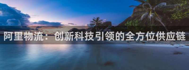 28圈代理落网：阿里物流：创新科技引