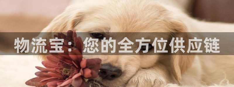 28圈注册网站多少钱：物流宝：您的全
