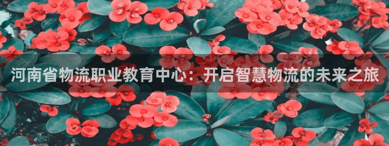 28圈相信品牌的力量：河南省物流职业