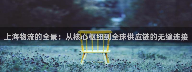 28圈二维码
