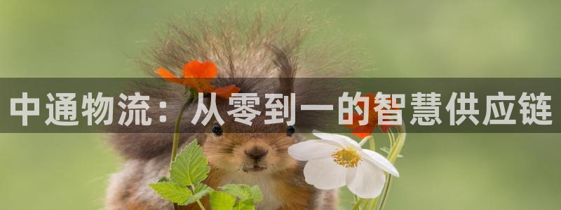 28圈圈