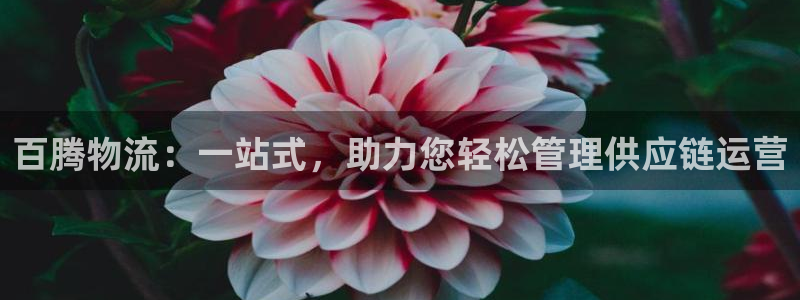 28圈加拿大最新版：百腾物流：一站式
