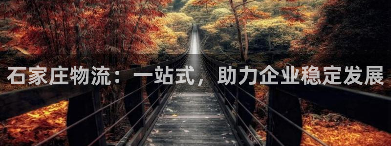 28圈那个才是充值账号：石家庄物流：