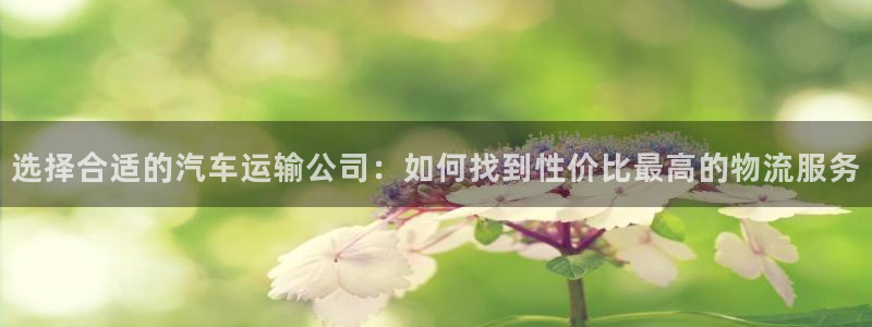 28圈PG电子游戏：选择合适的汽车运