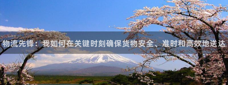 28圈口戒指是多大：物流先锋：我如何