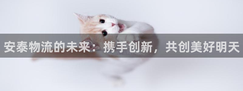 28圈充值：安泰物流的未来：携手创新，共创美好明天