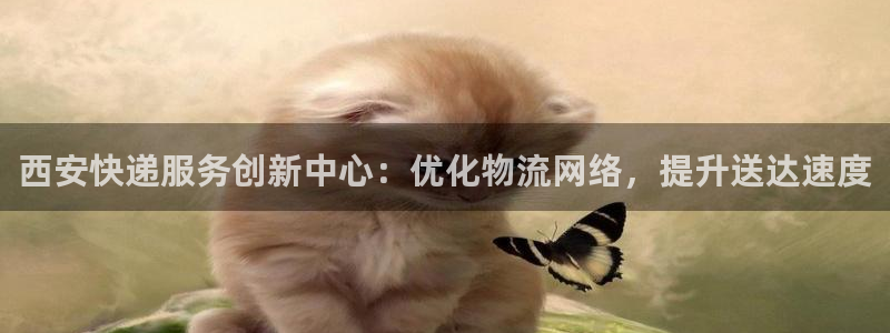 28圈和南宫28什么关系：西安快递服