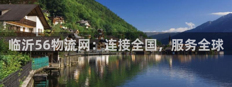 28圈如何注销账号：临沂56物流网：