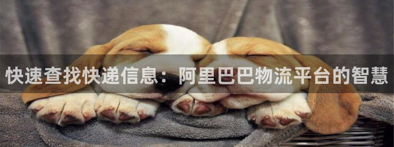 28圈预测：快速查找快递信息：阿里巴巴物流平台的智慧