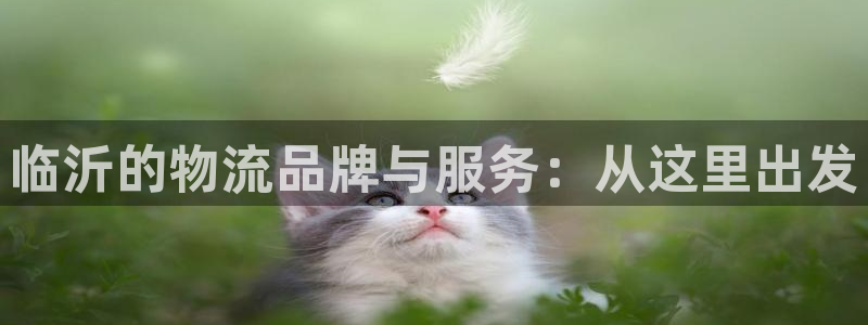 28圈选28ng官网