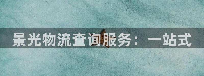 28圈软件堵什么反什么：景光物流查询服务：一站式