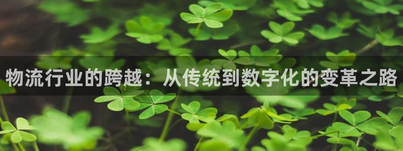 28圈稳吗：物流行业的跨越：从传统到数字化的变革之路