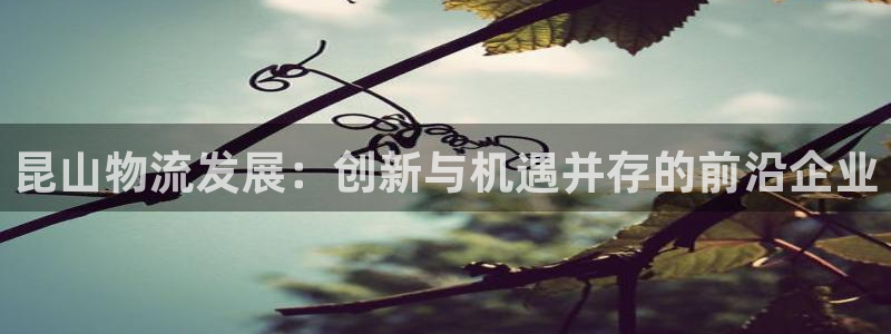 28圈pg如何退钱