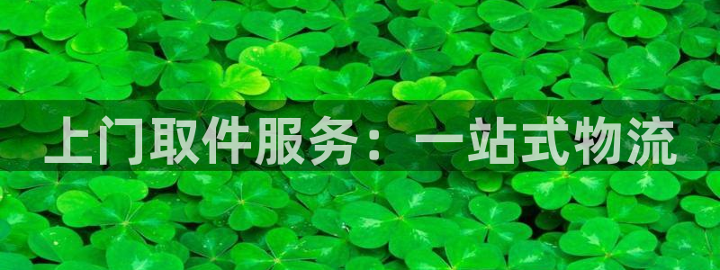 28圈旗下