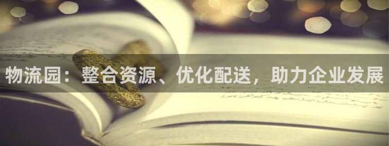 28圈p扣款什么意思