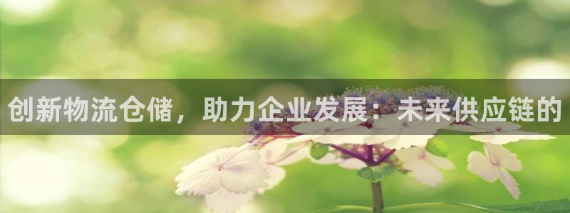 28圈官网多少