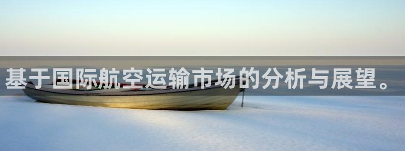 28圈注册登录：基于国际航空运输市场