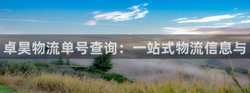28圈麻将胡了