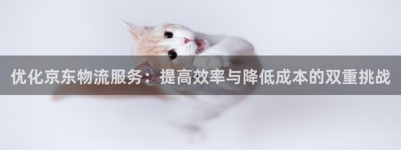 28圈模拟器在线使用