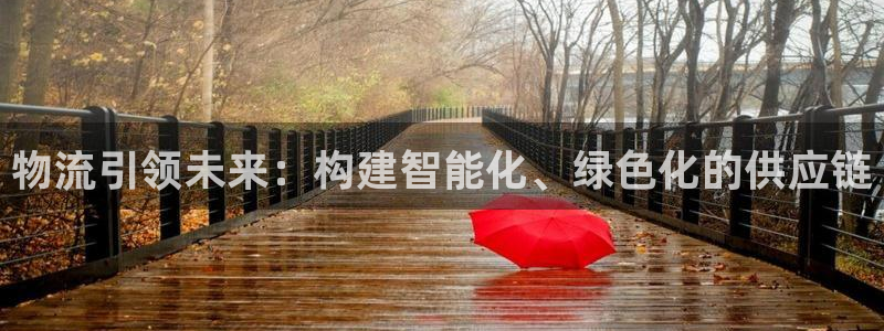 28圈充值不处理怎么办