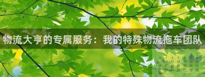 28圈充值金额随便：物流大亨的专属服务：我的特殊物流拖车团队