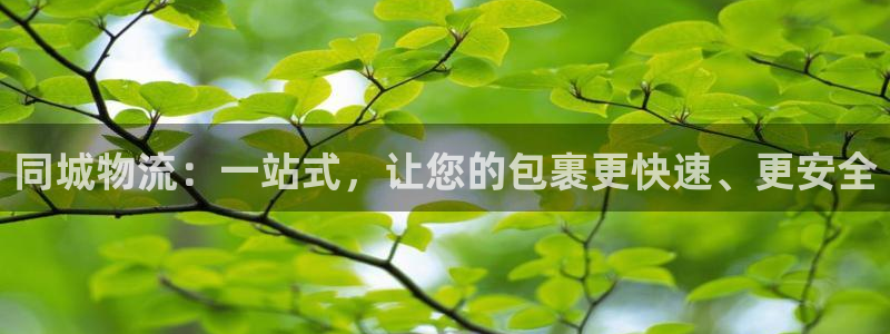 28圈官网链接：同城物流：一站式，让
