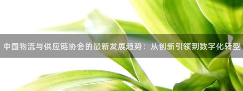 28圈可靠吗：中国物流与供应链协会的