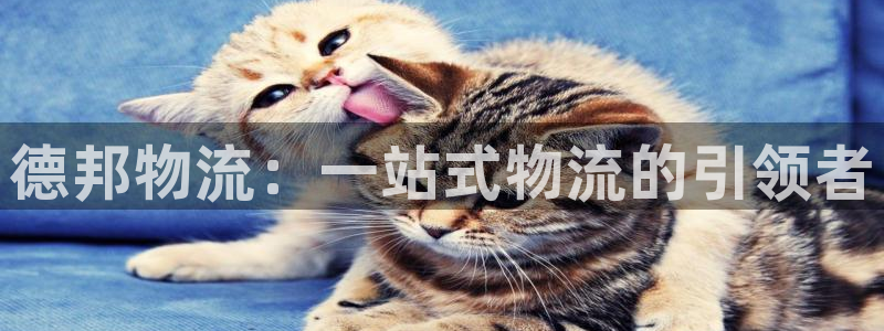 28圈注册条件：德邦物流：一站式物流