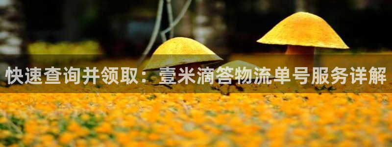 28圈ccm游戏：快速查询并领取：壹