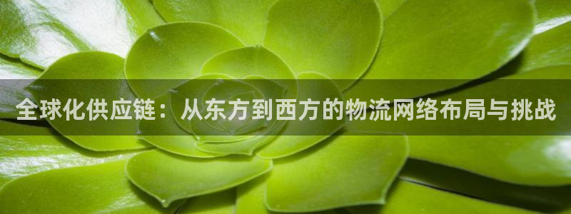 28圈注册流程：全球化供应链：从东方