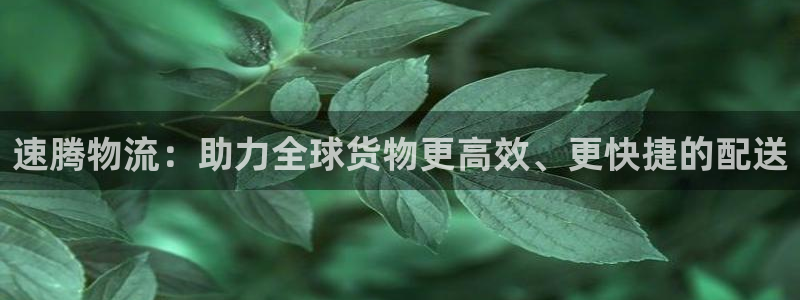 28圈下载体育：速腾物流：助力全球货