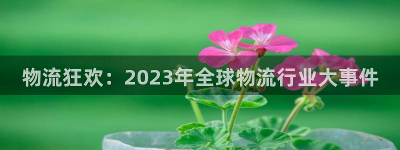 28圈官网平台下载：物流狂欢：202