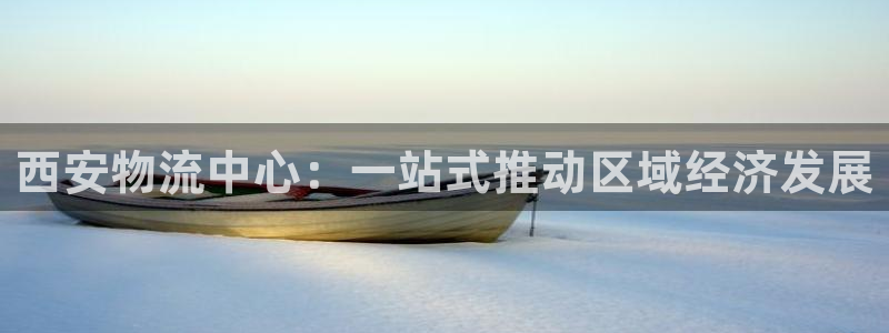 28圈加拿大下载：西安物流中心：一站