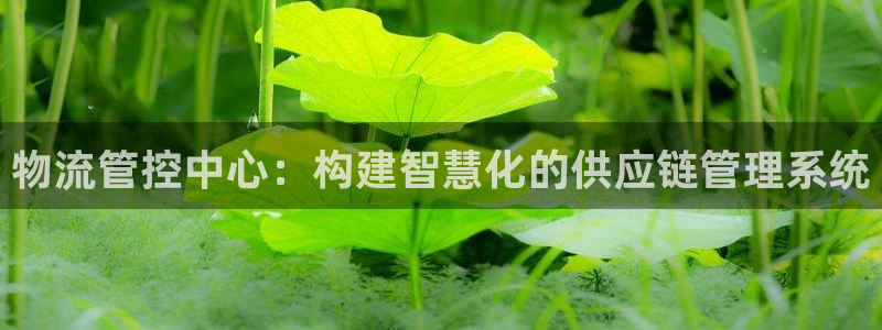 28圈下载链接是多少：物流管控中心：