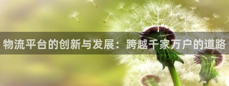 28圈绿骨头：物流平台的创新与发展：