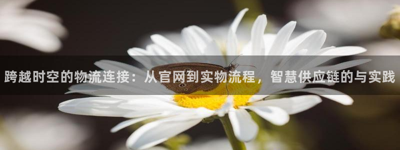 28圈登录用户名登录不上：跨越时空的