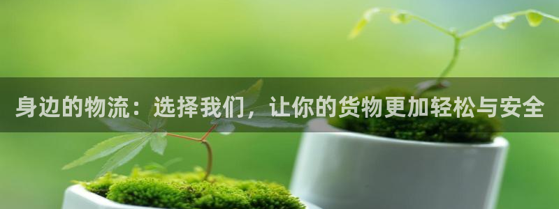 28圈麻将胡了