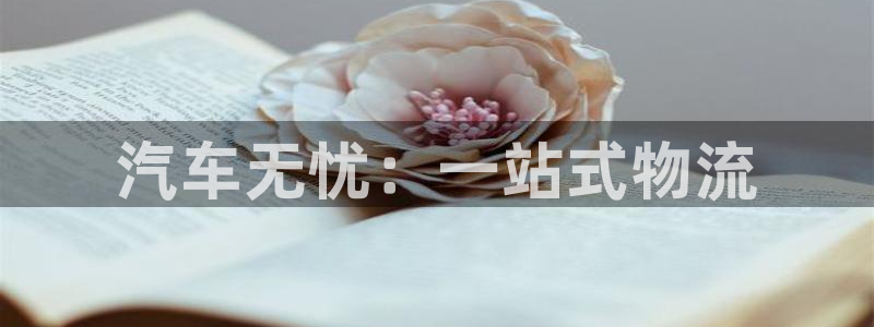 28圈充值不到账怎么办