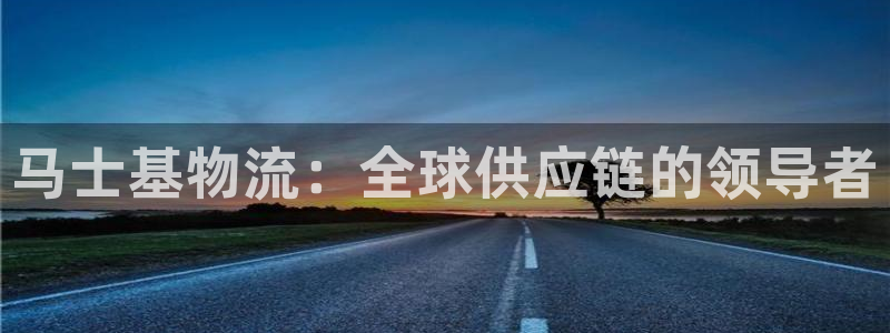 28圈防失联网址：马士基物流：全球供应链的领导者
